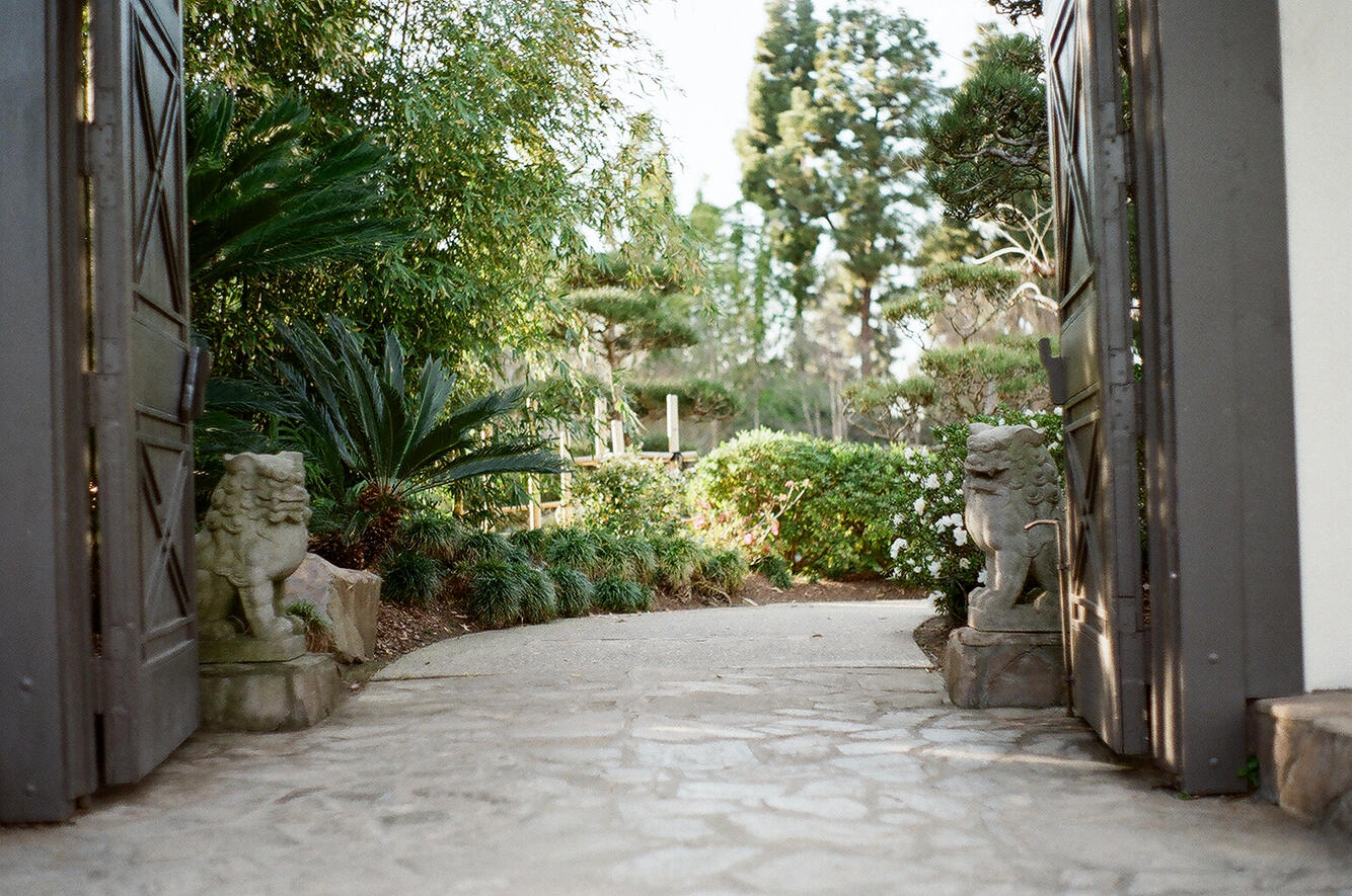 Earl Burns Japanese Garden #3